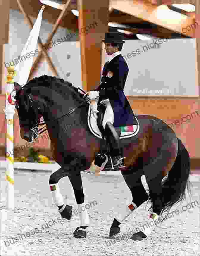 A Dressage Horse Performing A Piaffe, A Highly Technical Movement That Requires Strength And Balance The Athletic Development Of The Dressage Horse: Manege Patterns