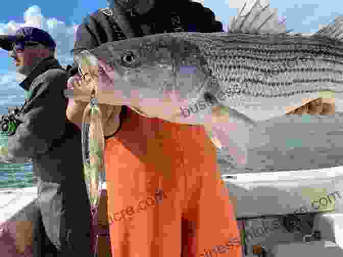 A Group Of Anglers Holding Striped Bass Caught Off The Coast Of Rhode Island On The Run: An Angler S Journey Down The Striper Coast