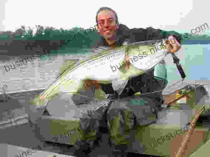 An Angler Fishing For Striped Bass In The Mystic River, Connecticut On The Run: An Angler S Journey Down The Striper Coast