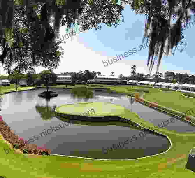 Elevated View Of The Island Green On The Par 3 15th Hole East Lake Golf Club (Images Of Sports)