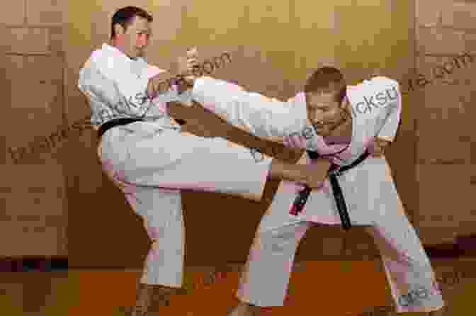 Man Practicing Mixed Martial Arts Techniques Taekwondo Grappling Techniques: Hone Your Competitive Edge For Mixed Martial Arts Downloadable Media Included