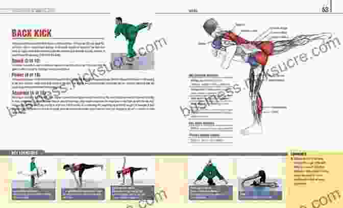 Muscles Used In A Back (rear) Kick The Anatomy Of Martial Arts: An Illustrated Guide To The Muscles Used For Each Strike Kick And Throw