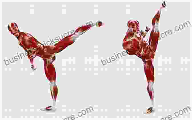 Muscles Used In A Side Kick The Anatomy Of Martial Arts: An Illustrated Guide To The Muscles Used For Each Strike Kick And Throw