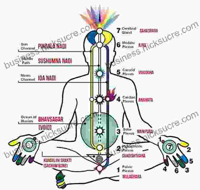 Prana Flowing Through The Nadis Nyasa Yoga: Kundalini Prana Chakra And Nadi Cultivation Techniques Edition