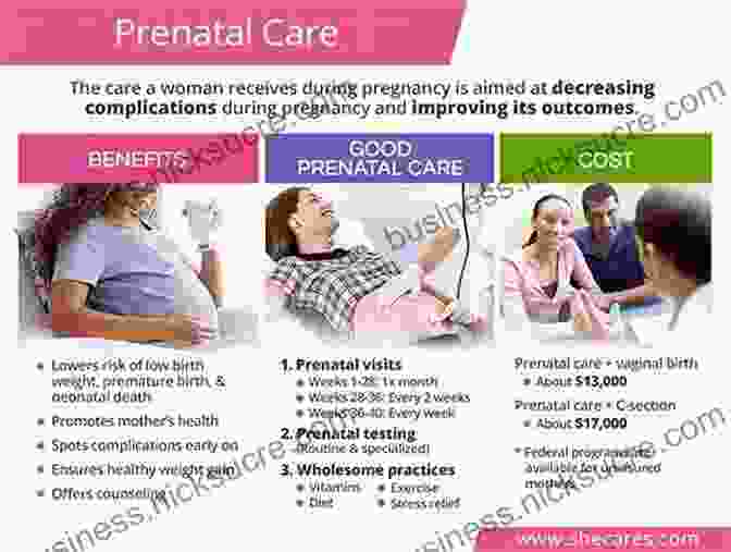 Risk Assessment And Personalized Care Plans Optimizing Prenatal Care And Ensuring Safe Birth. Taking Charge Of Your Pregnancy: The New Science For A Safe Birth And A Healthy Baby