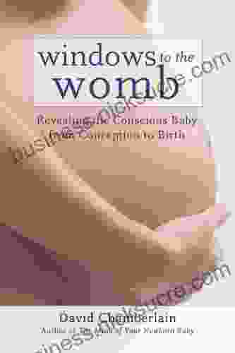 Windows To The Womb: Revealing The Conscious Baby From Conception To Birth